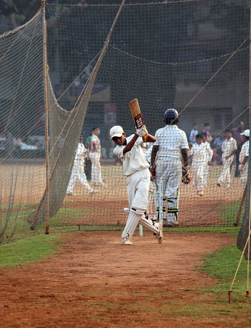 Cricket and Licensing: Exploring Merchandise and Intellectual Property Rights